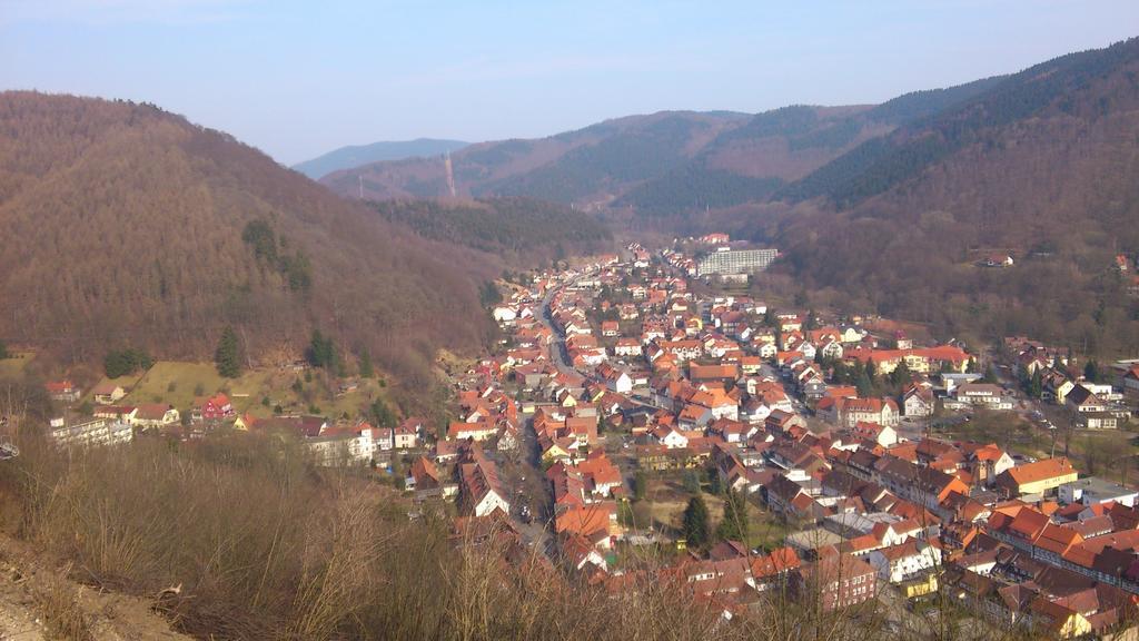 Ferienwohnung Am Paradies Bad Lauterberg Exterior foto